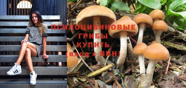 2c-b Богородицк
