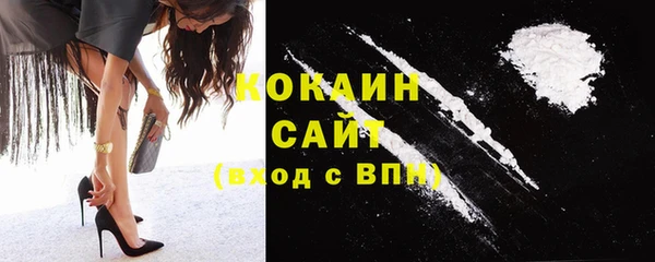 2c-b Богородицк