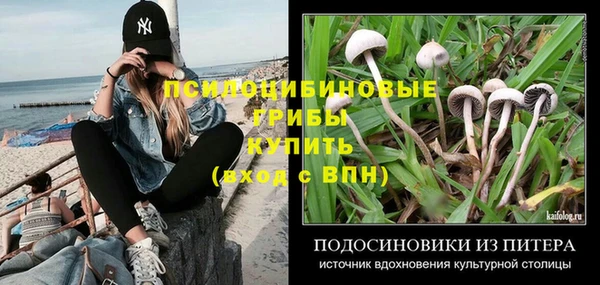 2c-b Богородицк