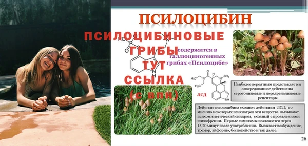 а пвп мука Богданович
