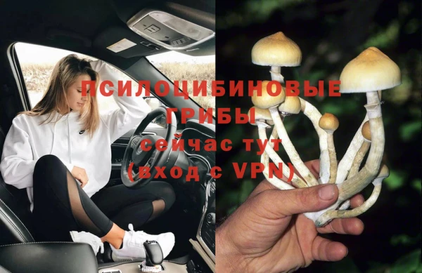 2c-b Богородицк