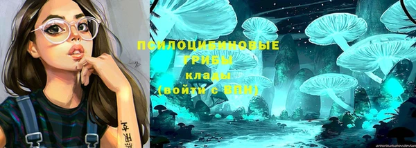 а пвп мука Богданович