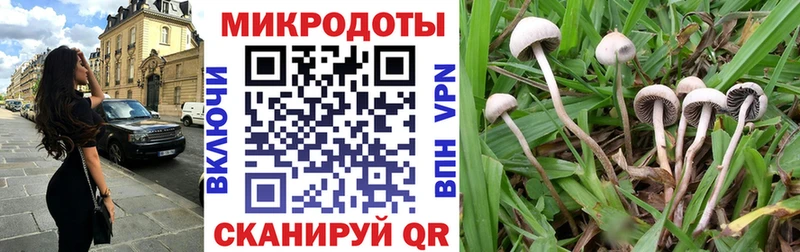 Галлюциногенные грибы GOLDEN TEACHER где купить наркотик Дорогобуж